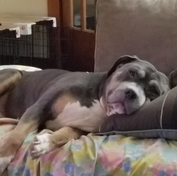 Meet your Posher, Robert - Picture 2 of 3